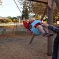 На качелях / on the swing