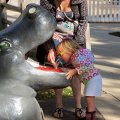 B31117c_Sacramento21