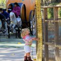 B31117e_Sacramento28
