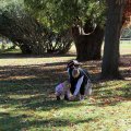 B31117e_Sacramento50